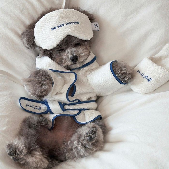 即納【small stuff】MODAL BATH ROBE 韓国 ブランド名 愛くるしい 今めかしい 差し上げ物 小型犬 ノーズワーク 西洋手ぬぐい パジャマ NEW 春 夏 秋 冬 雨 知育