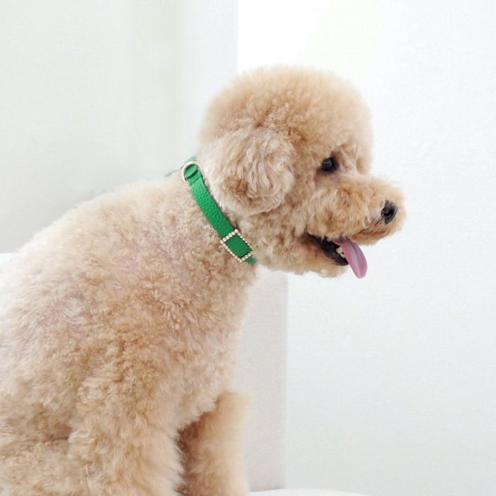 ※予約販売【maison de miu】Square Pearl Collar（Green） 韓国 ブランド かわいい おしゃれ プレゼント 小型犬 首輪 タオル NEW