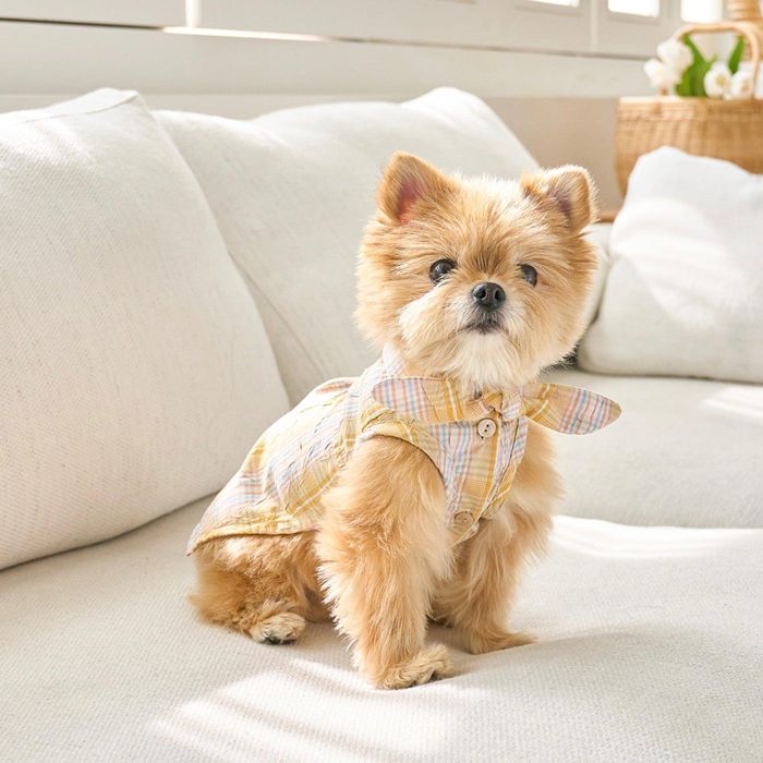 ※予約販売【noutti】Wrinkle Ribbon Shirt（Yellow） 犬服 ドッグウェア 犬の服 小型犬 小型犬服 スリーブレス 春 夏 秋 犬用品