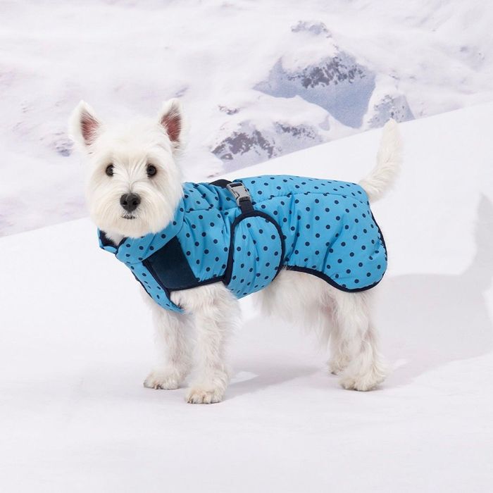 即納【andblank】Polka Light Extreme Heat Padding 犬服 ドッグウェア 犬の服 防寒 冬 冬服 軽量 軽い 韓国 犬用品|URBAN DOG TOKYO 店