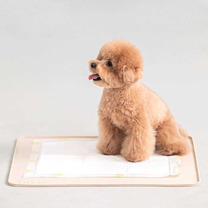 即納【BITE ME】Non-slip Silicone Mat（Beige） / 犬 幼児用便器 幼児用便器つや消し 立ち小便 はみ出し押しとどめる 愛玩動物装置 愛玩動物グッズ ドッググッズ 上滑り打ち切り ケイ素樹脂 飾り気のない世話をする 雨合羽 撥水 洗い濯ぎ飾り気のない 馬鹿でかい大いさ 幼児用便器居敷き お幼児用便器 形づくる 小っちゃい空間的関係 助けになる ＦＲＧ製