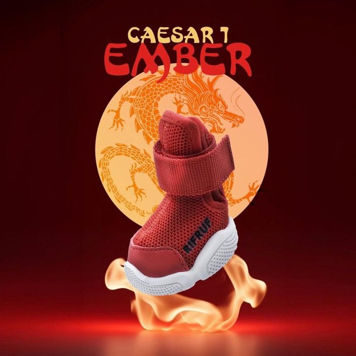 即納【RIFRUF】SNEAKERS CAESAR 1（Ember） 即納  RIFRUF  SNEAKERS  CAESAR 1  Ember  NY発  割り増し金スニーカー  愛犬  犬設備  ドッググッズ
