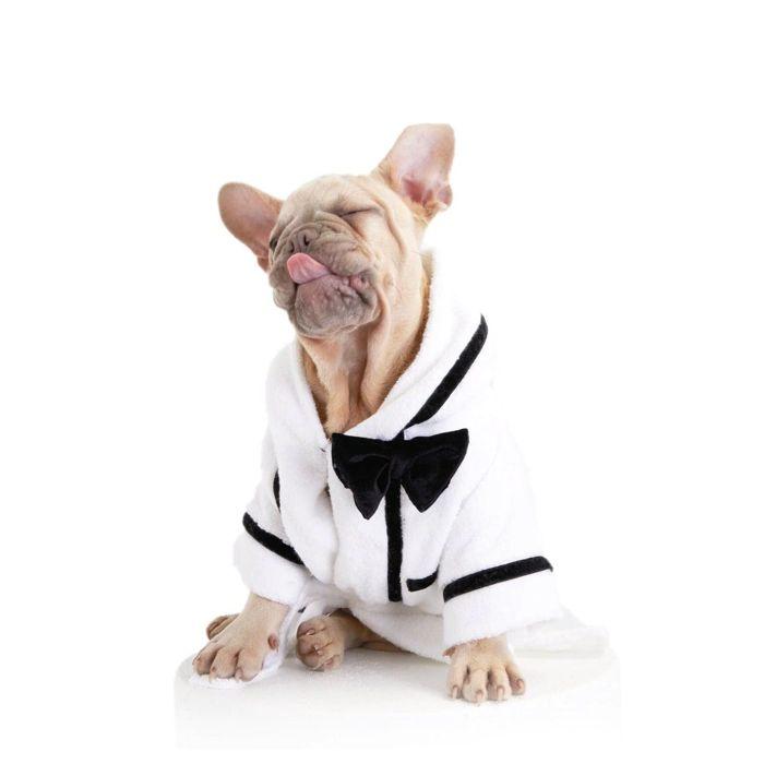 即納【MOSHIQA】Best Man Dog Bathrobe 亜米利加 犬装置 ドッググッズ ドッグウェア 犬服 犬の服 小型犬 小型犬服 西洋手ぬぐい 二階建てバス引っ敷き