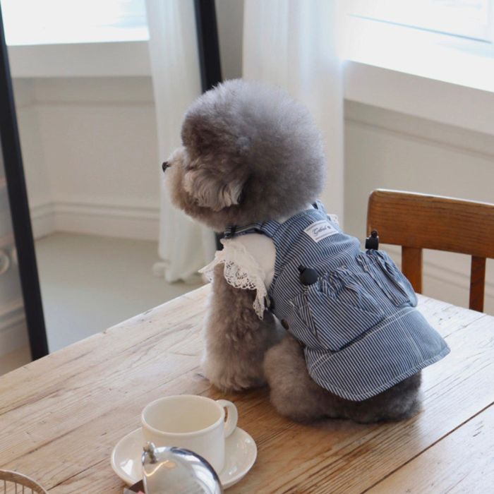 即納【GET BACK】Goose overalls onepiece（Denim Stripe）｜URBAN DOG TOKYO 店