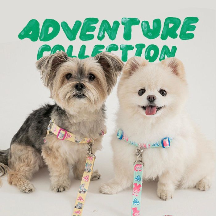 ※予約販売【BITE ME】BITE ME × Pokori Friends Adventure Easy L-Harness 韓国 犬用品 ドッググッズ ハーネス ドッグハーネス 犬ハーネス 犬用ハーネス 軽量 丈夫 散歩用品 小型犬