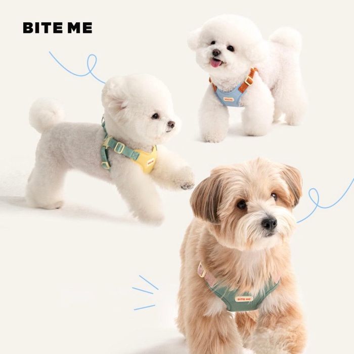 即納【BITE ME】Comfort Harness v2（3 types）｜犬用ハーネス 犬用品 ドッググッズ ハーネス リード 散歩グッズ 散歩用品 犬のハーネス ドッグハーネス 犬ハーネス 犬用ハーネス