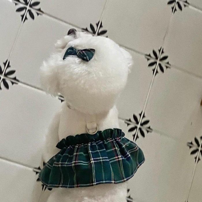 ※予約販売【Hi Yeboo】Preppy Harness（Green） 韓国 ブランド かわいい おしゃれ プレゼント 小型犬 ハーネス 散歩グッズ NEW 春 夏 秋