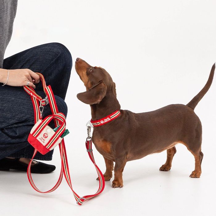 ※予約販売【andblank】Andblank x Camel ABC Stripe Collar 韓国 犬用品 ドッググッズ 首輪 犬の首輪 ドッグカラー 犬首輪 犬用首輪 軽量 丈夫