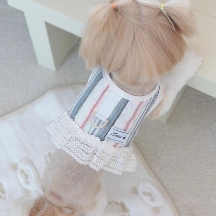 即納【GET BACK】Cool Harness（pokari blue） 犬服 ドッグウェア ハーネス 韓国 犬用品 ドッググッズ 夏 夏服 通気性 軽量｜URBAN DOG TOKYO 店
