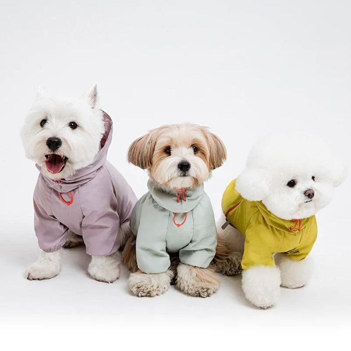 即納【BITE ME】Latta Filmcover Windbreaker Jacket（3types） 犬服 ドッグウェア 韓国 犬装置 ドッググッズ 犬の服 大型犬 大型犬服 中型犬 中型犬服