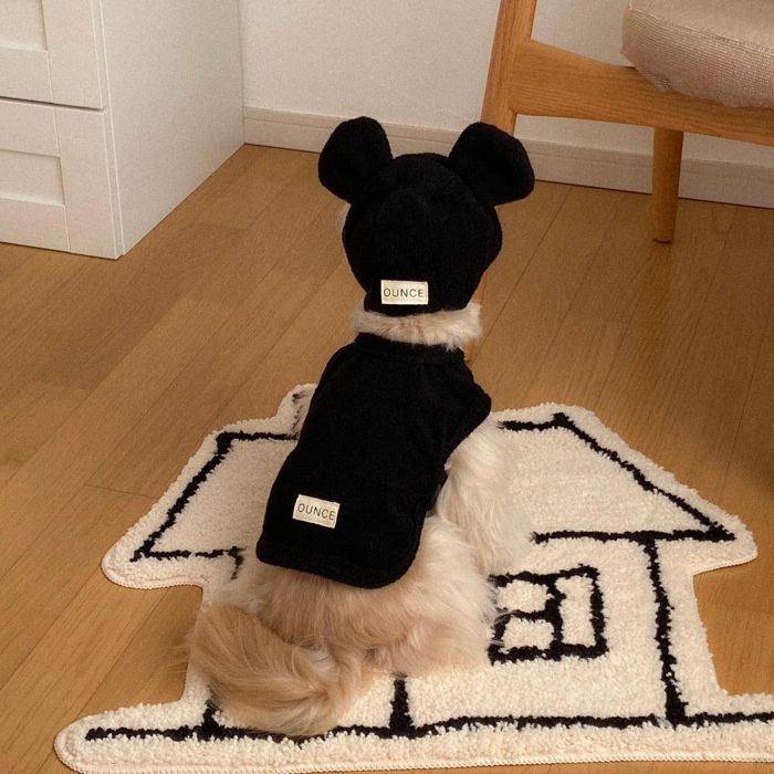 ※取っておく売りわたす【OUNCE】Teddy Bear Vest \u0026 Bonnet（Black） 犬装置  ドッググッズ  ドッグウェア  犬服  犬の服  小型犬  小型犬服  韓国  春  春服