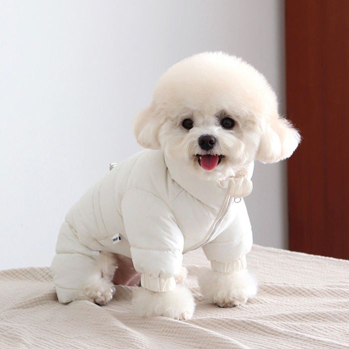 即納【Chiot】Heart Technical All インチ one padding（Cream） 犬服  ドッグウェア  犬の服  小型犬  小型犬服  犬備品  ドッググッズ  冬  冬服  防寒