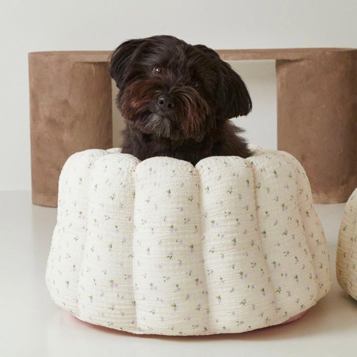 即納【azalea】Canele Cushion（flower soft canele / violet） 犬用品 ドッググッズ ドッグクッション 犬用クッション 犬クッション ペットクッション 犬ベッド 犬用ベッド ドッグベッド 犬ハウス