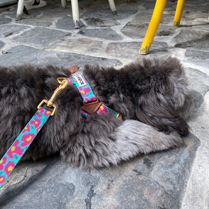 即納【iCANDOR】No-Pull Harness（BIG FISH MINT 犬用品 ドッググッズ ハーネス ドッグハーネス 犬ハーネス 犬用ハーネス 韓国 散歩用品 散歩グッズ 犬のハーネス リード