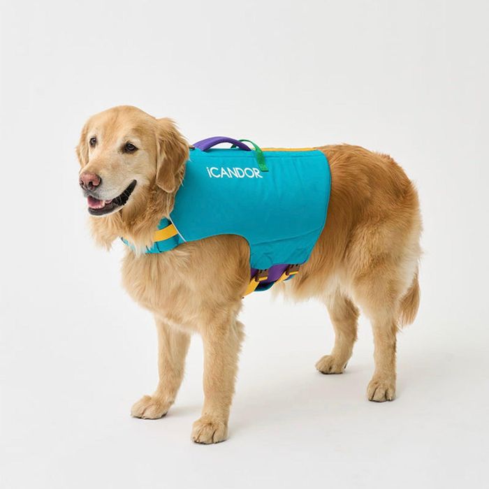 ※取っておく売りわたす【iCANDOR】Pawsaver Life Jacket（Turquois Blue） 犬設備  ドッググッズ  ドッグウェア  犬服  犬の服  大型犬  大型犬服  生命現象上衣  韓国  夏