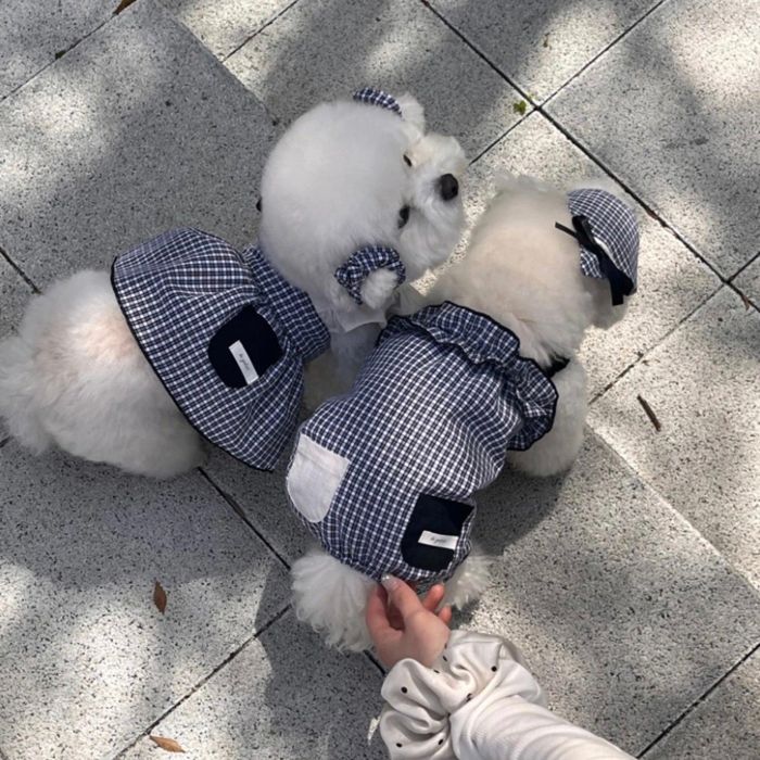 ※取っておく売りわたす【Hi Yeboo】Lona Collection（Black \u0026 White）- ops \u0026 romper 犬服  ドッグウェア  犬の服  小型犬  小型犬服  衣装  春  夏  秋  春服