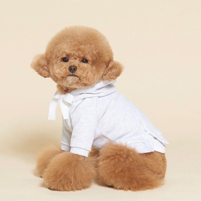 即納【meaningless】RIBBON VINTAGE HOODIE（Gray） 韓国 犬用品 ドッググッズ ドッグウェア 犬服 犬の服 小型犬 小型犬服 春 春服