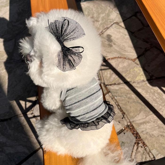 ※取って置く売りわたす【Hi Yeboo】Grey Stripe Crop 韓国  犬装置  ドッググッズ  ティーシャツ  衣袂受け答え  ドッグウェア  犬服  犬の服  小型犬  小型犬服