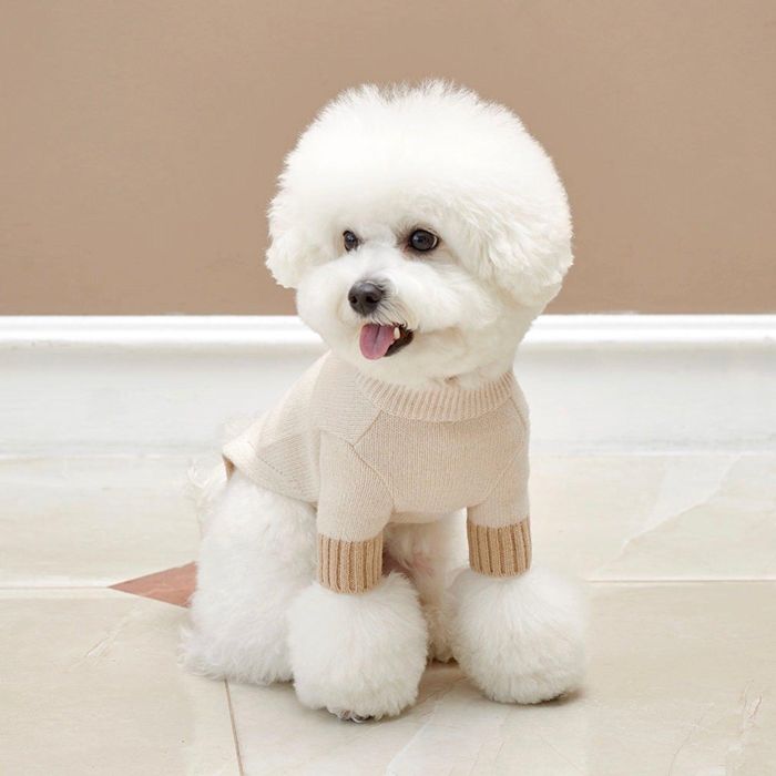 即納【small stuff】TONE ON TONE LAMBSWOOL SWEATER（BEIGE） 韓国 ブランド名 愛くるしげ 今めかしい 差し上げ物 小型犬 NEW 春 夏 秋 冬