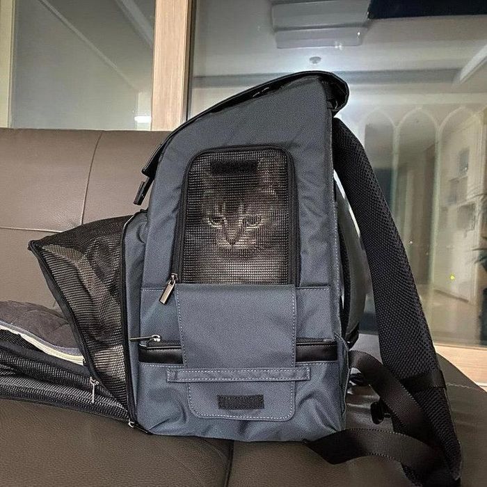 ※予約販売【INSIDE DOG & CAT】Inside L Backpack1(グレー/ブラック) 韓国 ブランド かわいい おしゃれ プレゼント 小型犬 バッグ スリング リュック キャリーバッグ マット トイレ NEW 夏 冬 お出かけ|URBAN DOG TOKYO 店