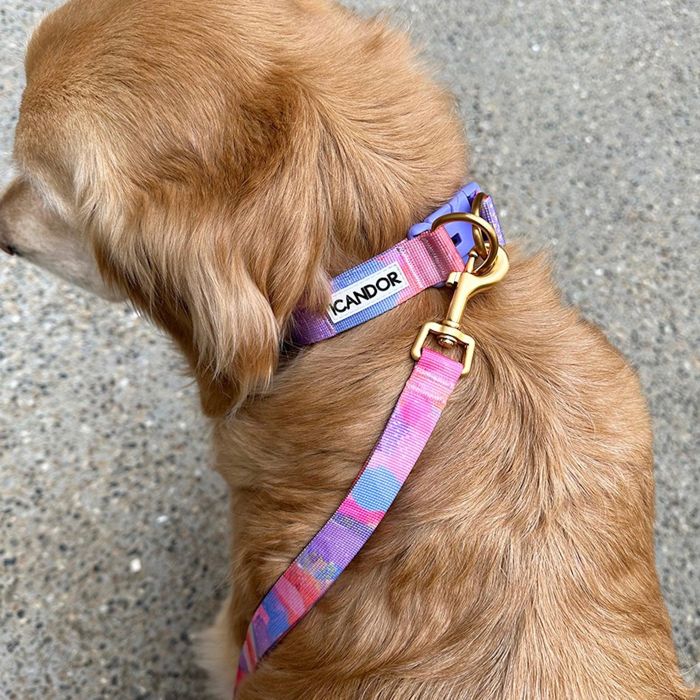 ※予約販売【iCANDOR】Gentle Leash Bolt（MILKY WAY） 韓国 ブランド かわいい おしゃれ プレゼント 小型犬 首輪 ハーネス リード 散歩グッズ NEW 中型犬 大型犬 犬