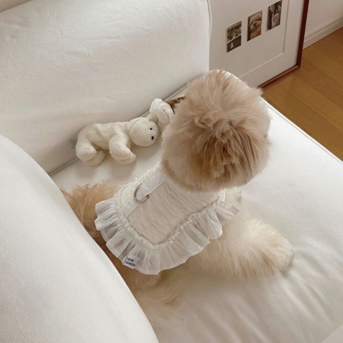 ※予約販売【OUNCE】Air Frill Harness（White） 犬用品 ドッググッズ ハーネス リード 韓国 犬のハーネス ドッグハーネス 犬ハーネス小型犬 犬ハーネス 犬用ハーネス 5,311円