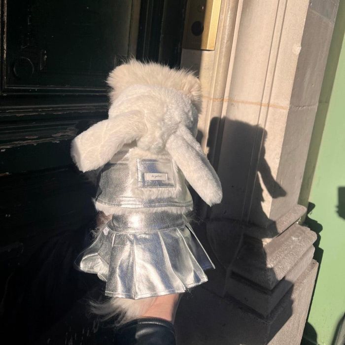 ※予約販売【Hi Yeboo】Seine Leather Jacket（Silver） 犬服 ドッグウェア 犬の服 小型犬 小型犬服 防寒 冬 冬服 犬用品 ドッググッズ