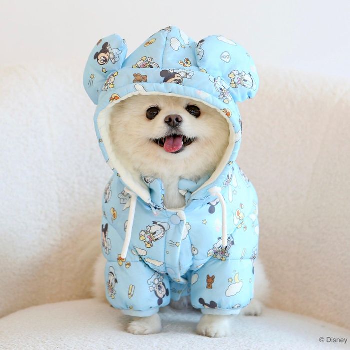 ※取っておく売りわたす【ITS DOG】Disney Baby Friends Soft Padding(Mickey)