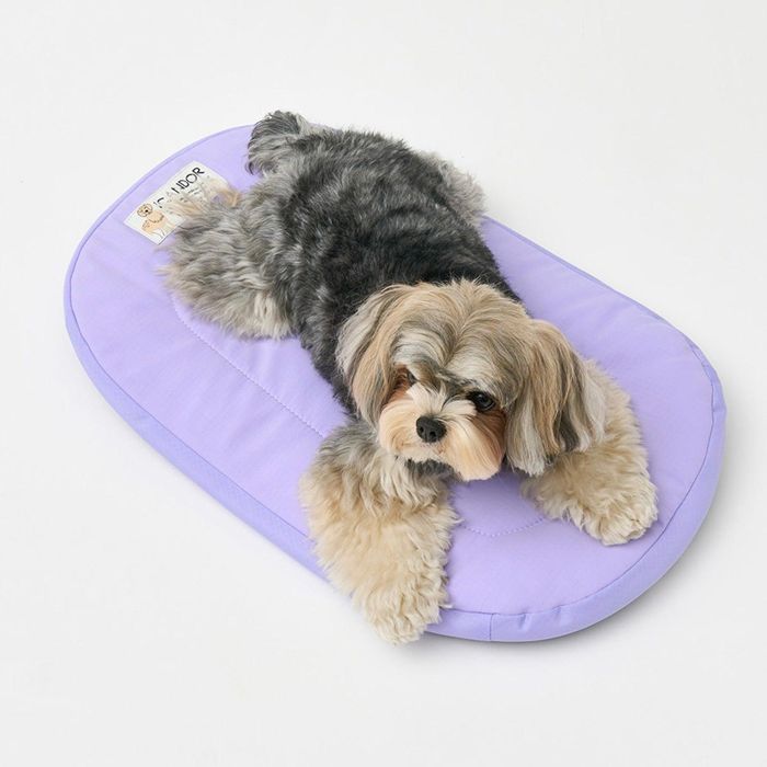 即納【iCANDOR】URBAN NEST CUSHION（LAVENDER） 韓国 犬用品 ドッググッズ 犬用クッション ドッグクッション 犬クッション ドッグベッド 犬用ベッド ペットクッション 犬ベッド