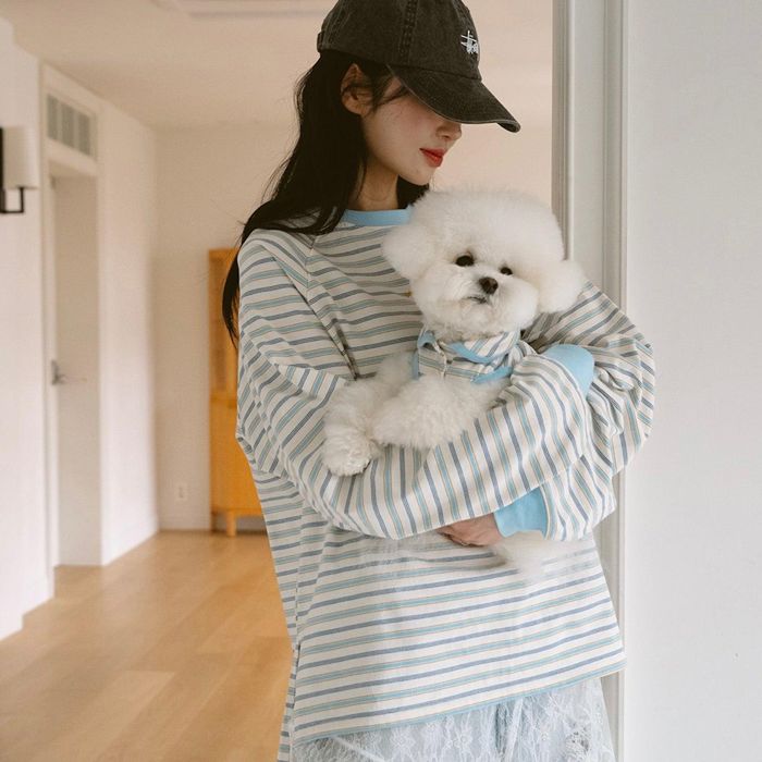 即納【noutti】Jerry Stripe T-shirt（Sky） 犬装置  ドッググッズ  ティーシャツ  衣袂受け答え  ドッグウェア  犬服  犬の服  小型犬  小型犬服  韓国