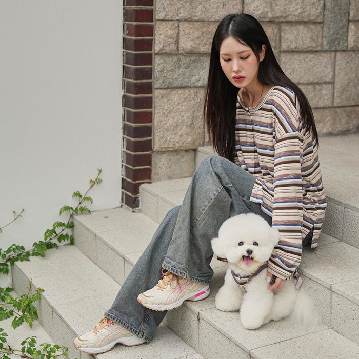 即納【noutti】Matilda Cardigan（Brown） 韓国 犬用品 ドッググッズ ドッグウェア 犬服 犬の服 小型犬 小型犬服 春 春服