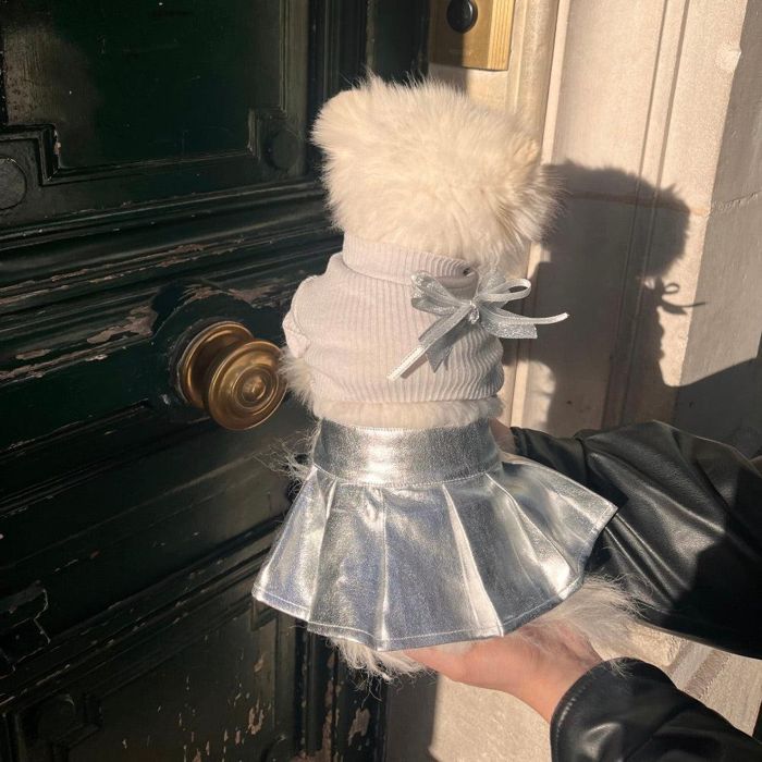 ※予約販売【Hi Yeboo】Seine Leather Skirt（Silver） 韓国 犬用品 ドッググッズ ドッグウェア 犬服 犬の服 小型犬 小型犬服 春 春服