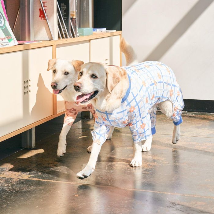※予約販売【munikund】Bug Guard All-In-One (Blue Flower) 犬服 ドッグウェア 大型犬服 中型犬服 小型犬服 春服 夏服 秋服 冬服 防寒 通気性