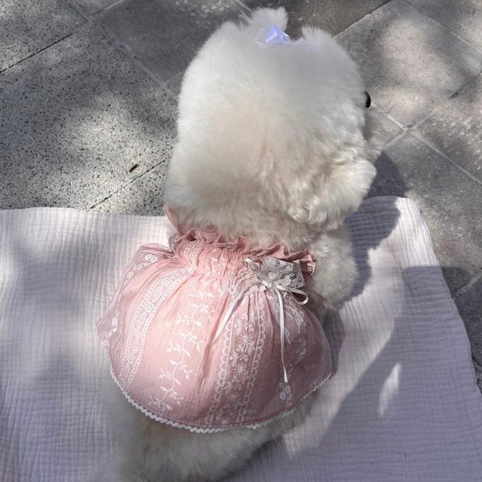 ※取っておく売りわたす【Hi Yeboo】Monet Ops 韓国  犬装置  ドッググッズ  ドッグウェア  犬服  犬の服  小型犬  小型犬服  衣裳  御召しもの