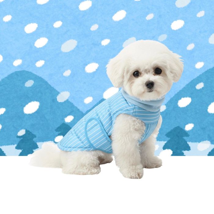 即納【TOOF】ULTRA LIGHT HEAT TECH PUFFER（BLUE） 犬服 ドッグウェア 犬の服 小型犬 小型犬服 防寒 冬 冬服 犬装置 ドッググッズ