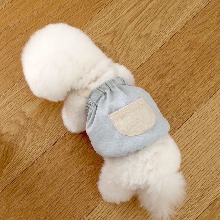 ※取っておく売りわたす【near by us】Muffin Knit Top（Baby Blue） 犬服  ドッグウェア  犬の服  小型犬  小型犬服  犬備品  ドッググッズ  韓国  春  春服
