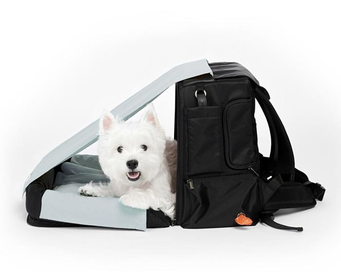※予約販売【INSIDE DOG & CAT】Travel Bag Cushion Backpack（グレー&times;ブラック） 犬用バッグ ドッグバッグ 犬のバッグ キャリーバッグ 犬のキャリーバッグ 犬のキャリーケース 韓国 ブランド かわいい おしゃれ プレゼント 小型犬 バッグ リュック NEW 丈夫 クッション 犬｜URBAN DOG TOKYO 店