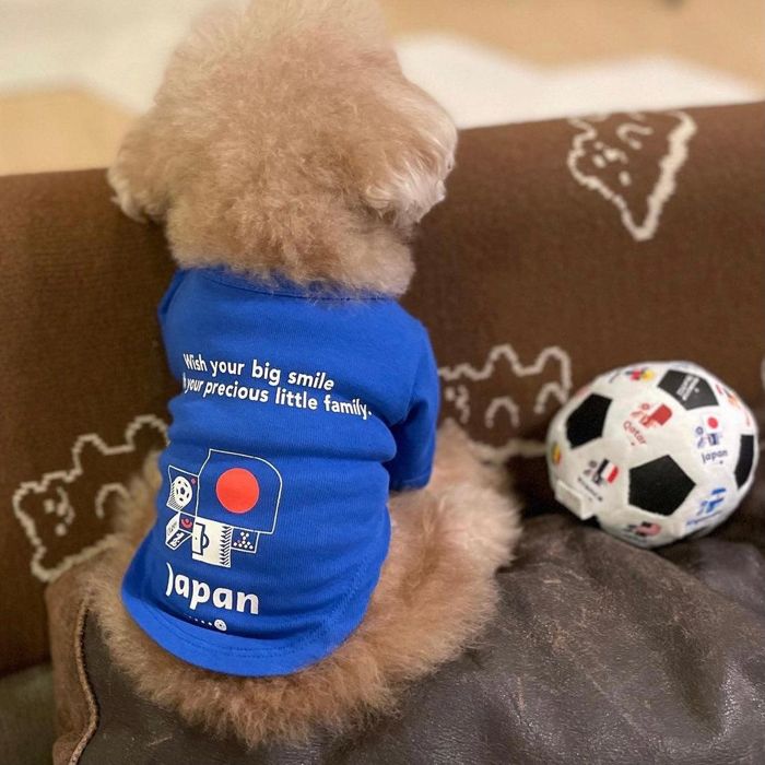 【楽天市場】即納【FIFA WORLD CUP QATAR 2022_】FIFA dog longsleeve（Blue）犬服 犬用 トップス