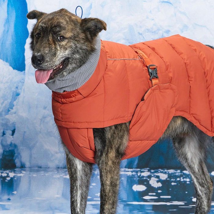 ※予約販売【munikund】Thermal Up Padding Air 2 -(Clay Brick) 犬服 ドッグウェア 大型犬 大型犬服 冬 冬服 防寒 犬用品 ドッググッズ 韓国|URBAN DOG TOKYO 店