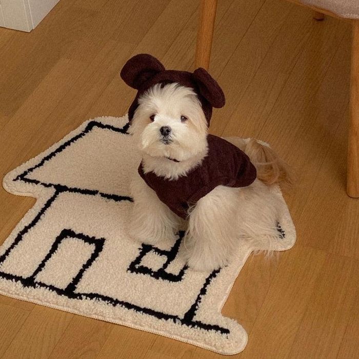 ※取っておく売りわたす【OUNCE】Teddy Bear Vest \u0026 Bonnet（Brown） 犬装置  ドッググッズ  ドッグウェア  犬服  犬の服  小型犬  小型犬服  春  春服  韓国