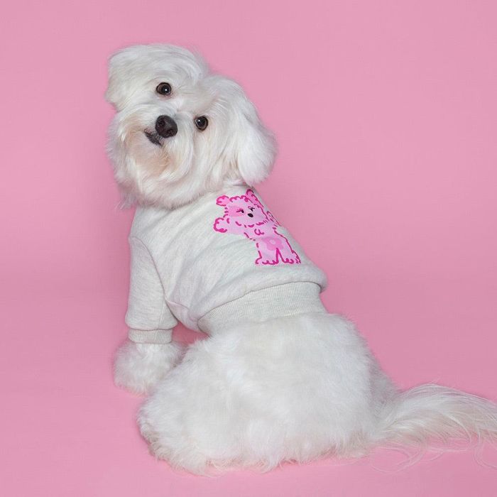 即納【noonoosoom】Noonoo buddy crew neck sweat shirt（Pink Lookie） 犬服  ドッグウェア  犬の服  小型犬  小型犬服  韓国  犬装置  ドッググッズ  春服  夏服