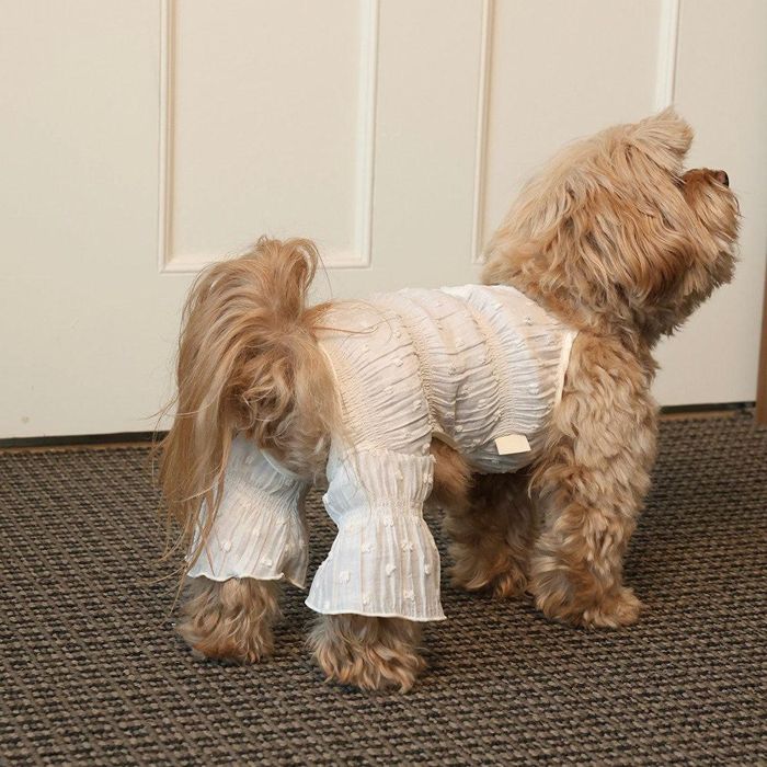 即納【noonoosoom】Blossom puff all インチ one（Ivory） 犬服 ドッグウェア 犬の服 小型犬 小型犬服 犬装置 ドッググッズ 韓国 春 夏