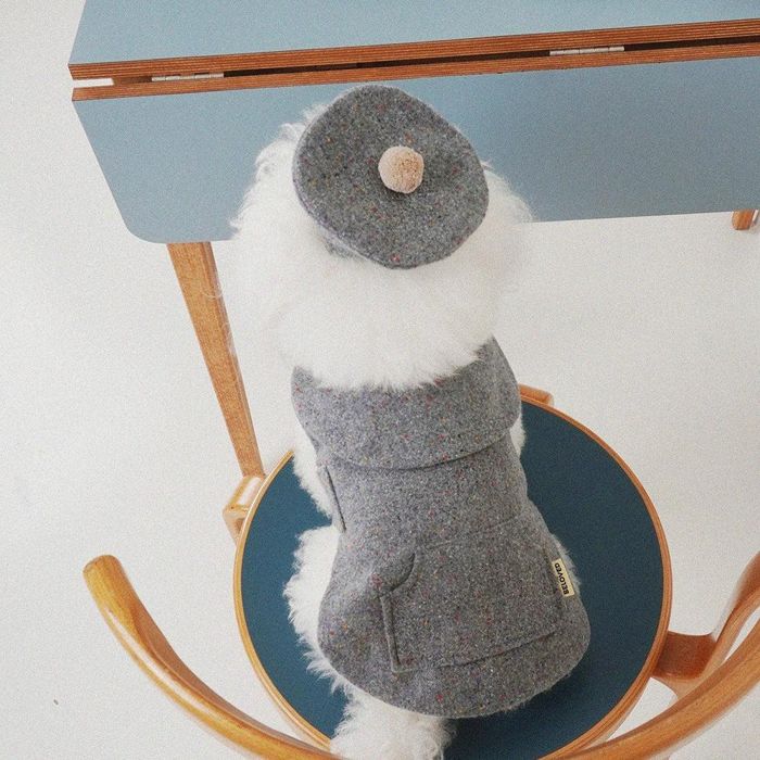 ※予約販売【noonoosoom】The beloved poncho（Gray） 犬服 ドッグウェア 犬の服 小型犬 小型犬服 ポンチョ 韓国 犬用品 ドッググッズ 冬