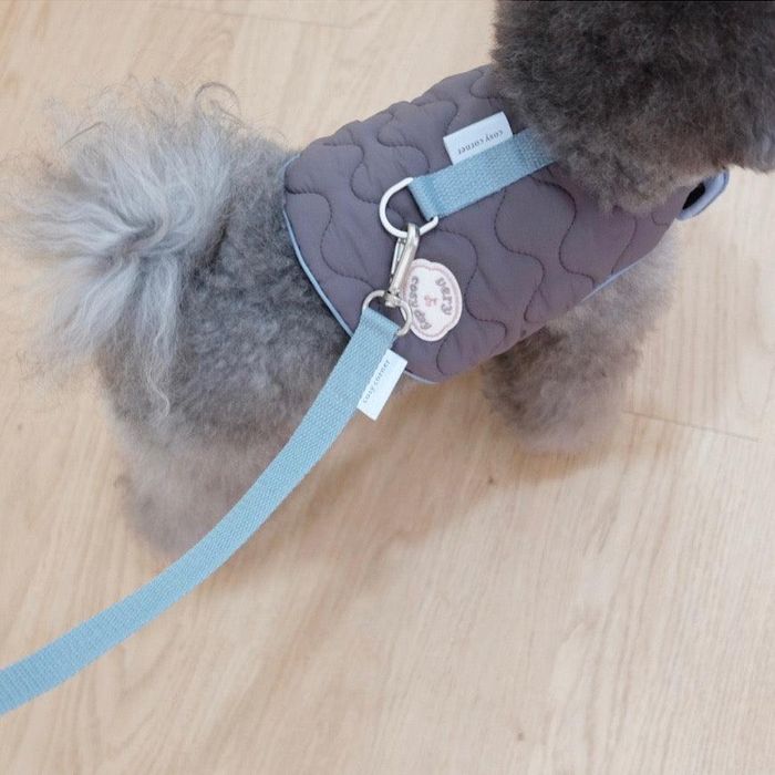 即納【cosy corner】Aero heat softpat harness & Leash (SET)（チャコール） 韓国 ブランド かわいい おしゃれ プレゼント 小型犬 ハーネス リード 散歩グッズ NEW 秋 冬 犬｜URBAN DOG TOKYO 店