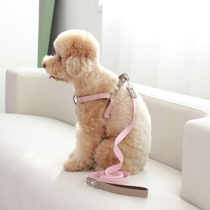 ※予約販売【maison de miu】 Running Mate Leather & Webbing Lead（Rose Pink / Brown） リード 犬用リード 犬リード ペットリード おしゃれリード 名入り 名入れ キーホルダー ネームタグ 韓国 ブランド かわいい おしゃれ 小型犬 うちの子グッズ 散歩グッズ NEW 犬