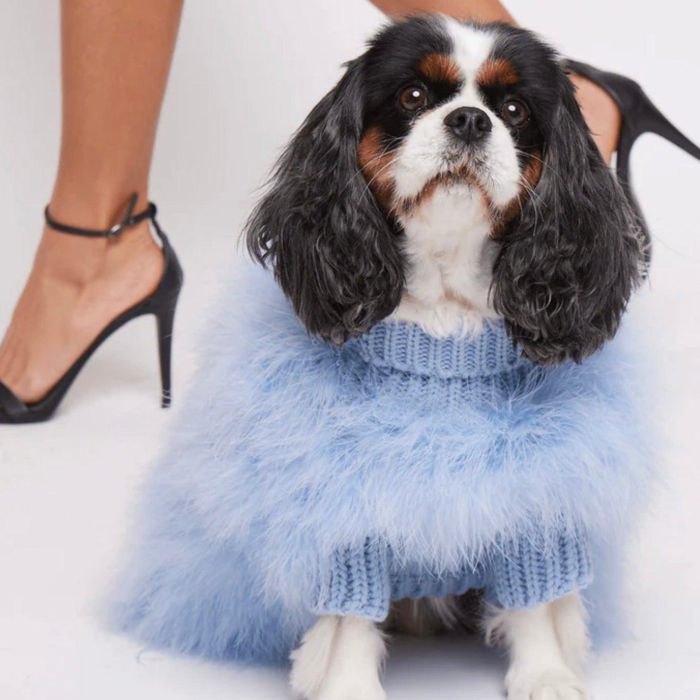 即納【max bone】Christian Cowan x maxbone Jumper（light blue） 犬服  ドッグウェア  犬の服  小型犬  小型犬服  亜米利加  犬備品  ドッググッズ  捩り受け答え  春  春服