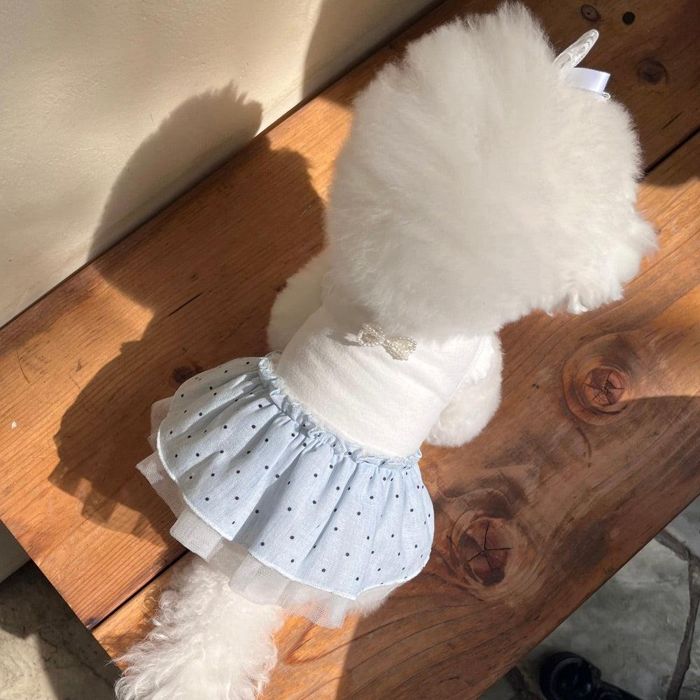 ※予約販売【Hi Yeboo】Dots Tutu（Blue） 犬服 ドッグウェア 犬の服 スリーブレス 犬用品 ドッググッズ 韓国 小型犬 小型犬服 春