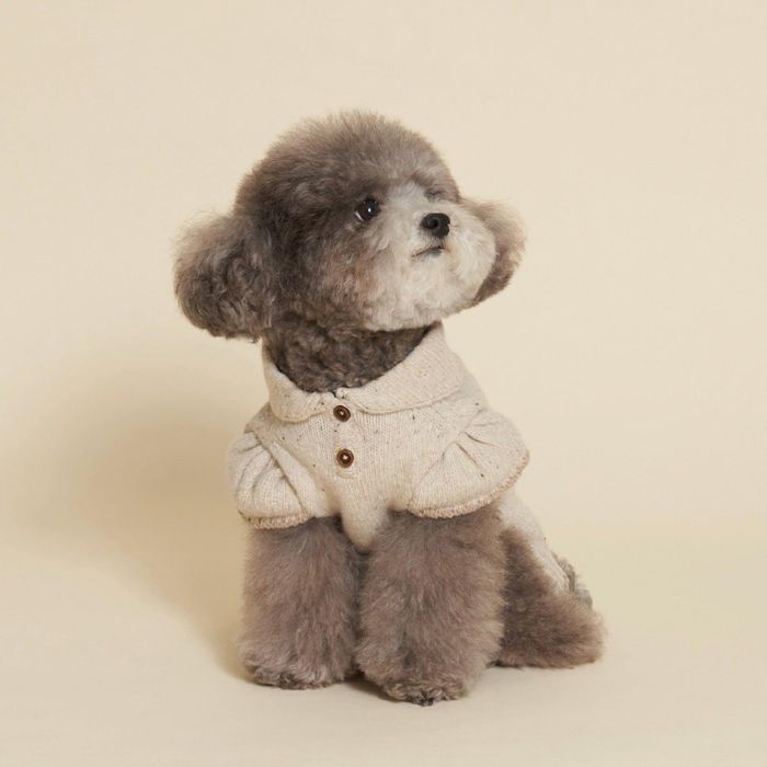 ※取っておく売りわたす【meaningless】Scarf Knit 犬服 ドッグウェア 犬の服 犬装置 ドッググッズ 韓国 秋服 冬服 防寒 秋
