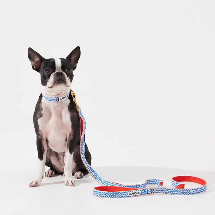 ※予約販売【iCANDOR】Gentle Leash（SURFRIDER） 犬リード 犬用リード 犬リード小型犬 リード小型犬 中型犬リード LEAD 犬用 ペット用 リード 散歩用品 散歩グッズ おしゃれ かわいい 犬 散歩 丈夫 軽い 都会的 韓国 便利 小型犬 中型犬
