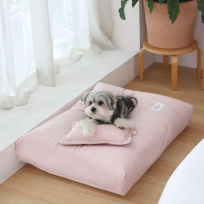 ※予約販売【Chiot】Sheot Comfort Carming Bed（Baby Pink）｜URBAN DOG TOKYO 店